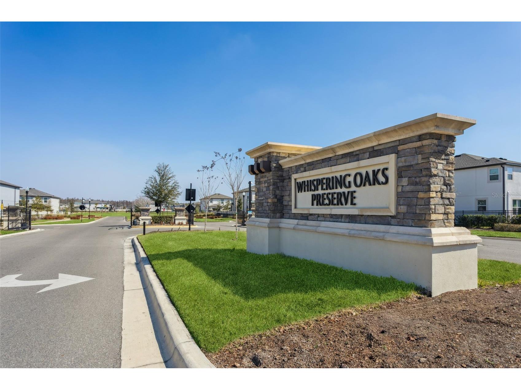 33287 Sycamore Leaf Drive Wesley Chapel FL 33545 TB8477200 image52