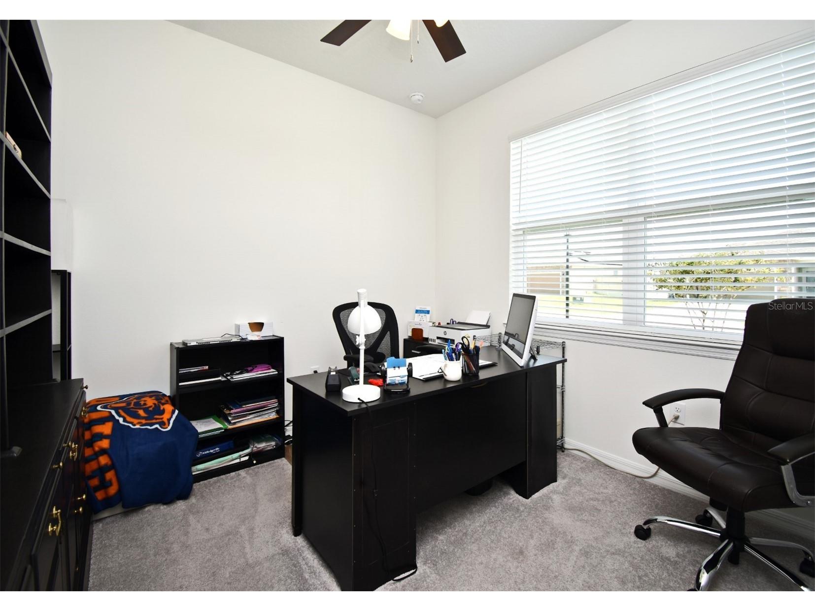 33291 Rembrandt Lane Sorrento FL 32776 O6425243 image10