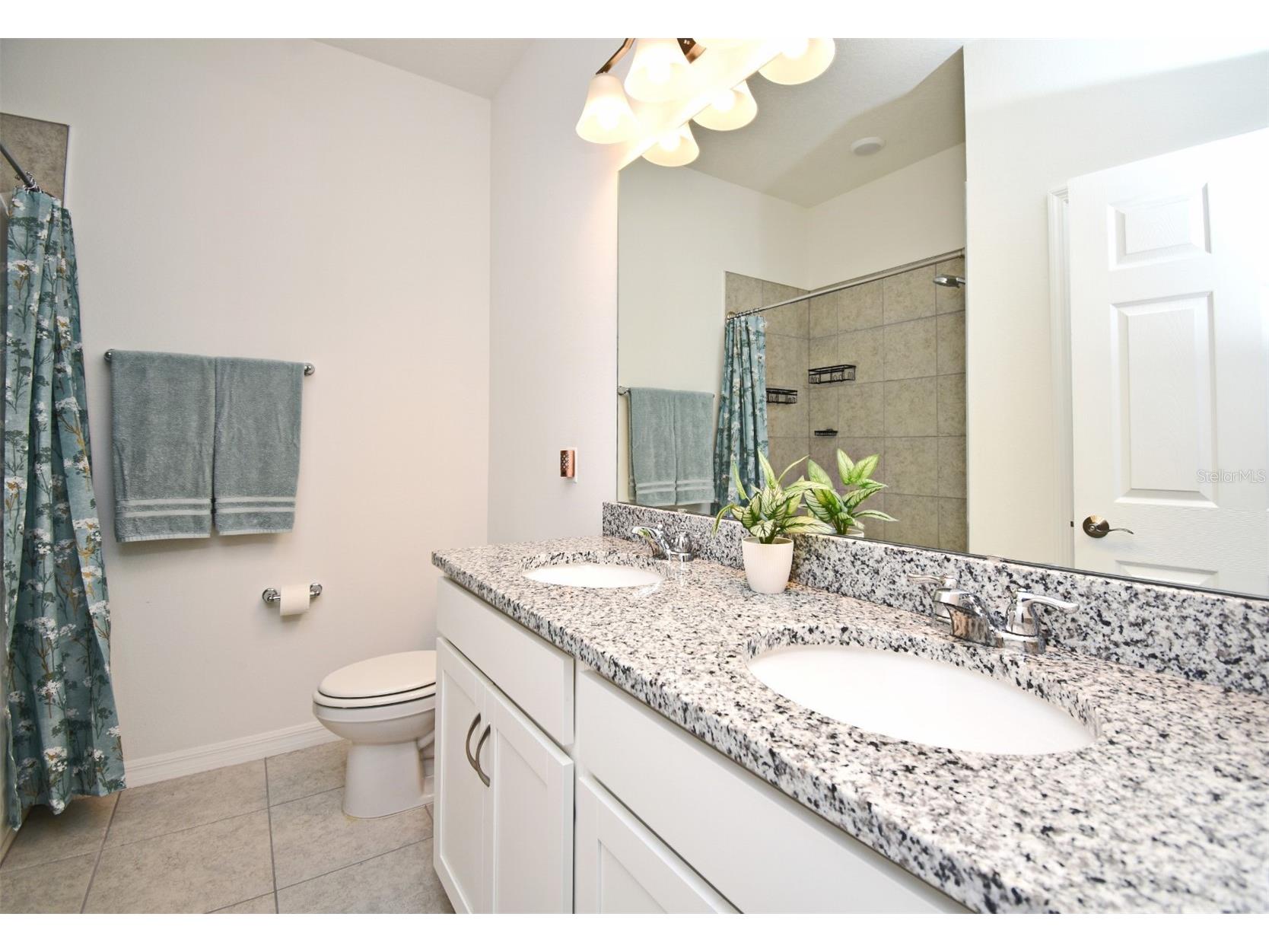33291 Rembrandt Lane Sorrento FL 32776 O6425243 image12