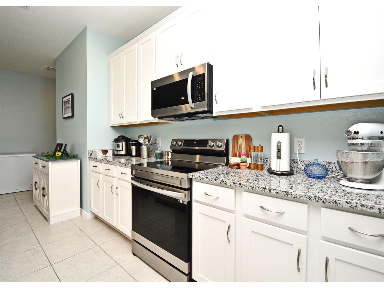 33291 Rembrandt Lane Sorrento FL 32776 O6425243 image2