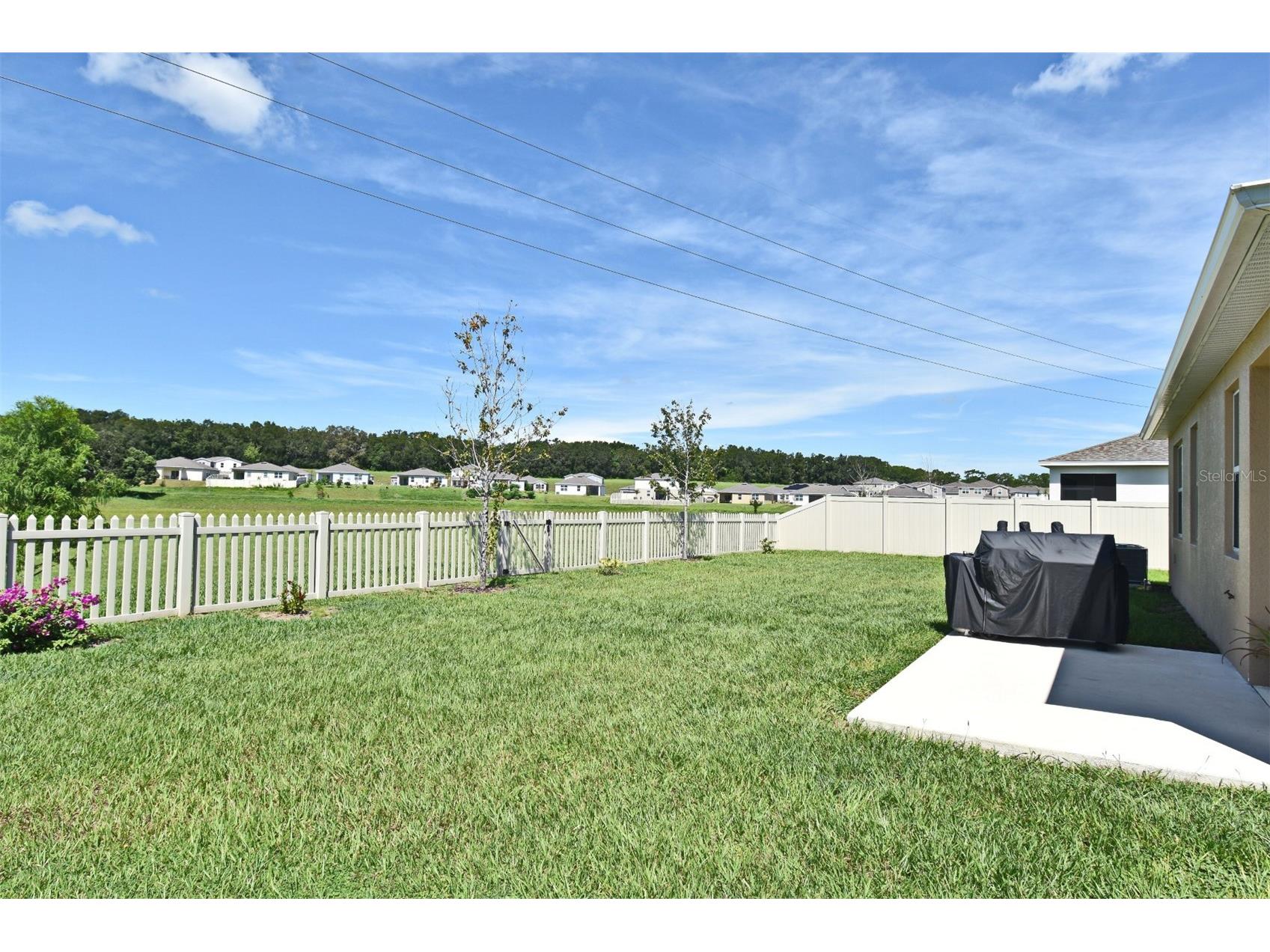 33291 Rembrandt Lane Sorrento FL 32776 O6425243 image34