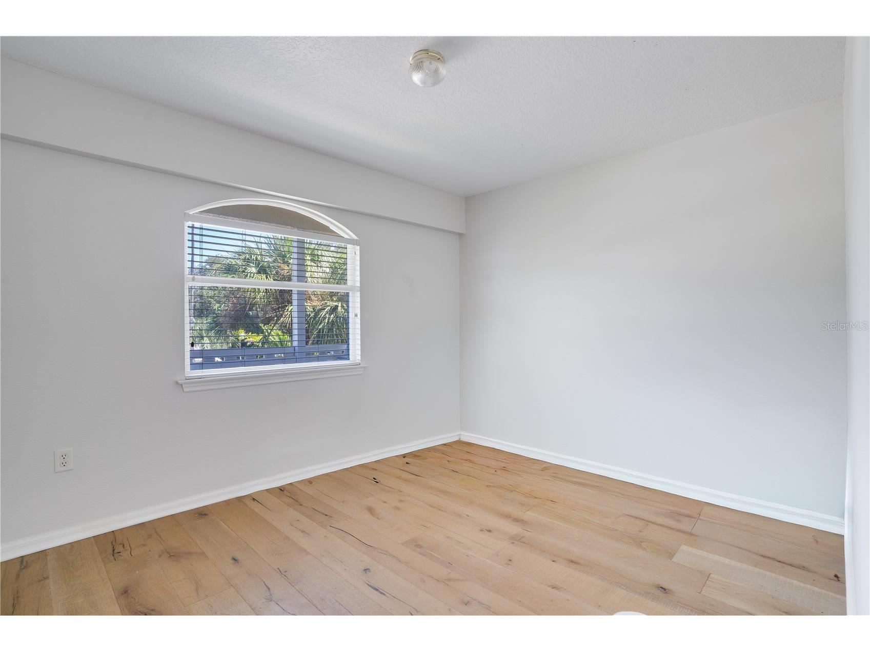 333 12th Avenue Indian Rocks Beach FL 33785 TB8416747 image44