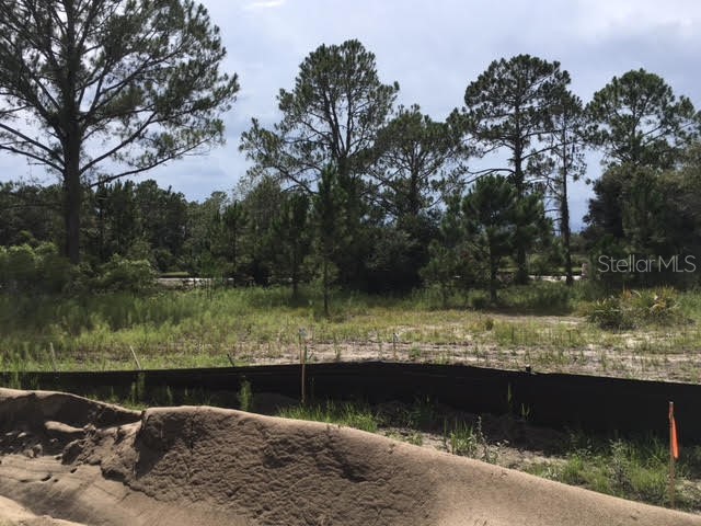 333 Amberjack Court Poinciana FL 34759 O6040930 image1