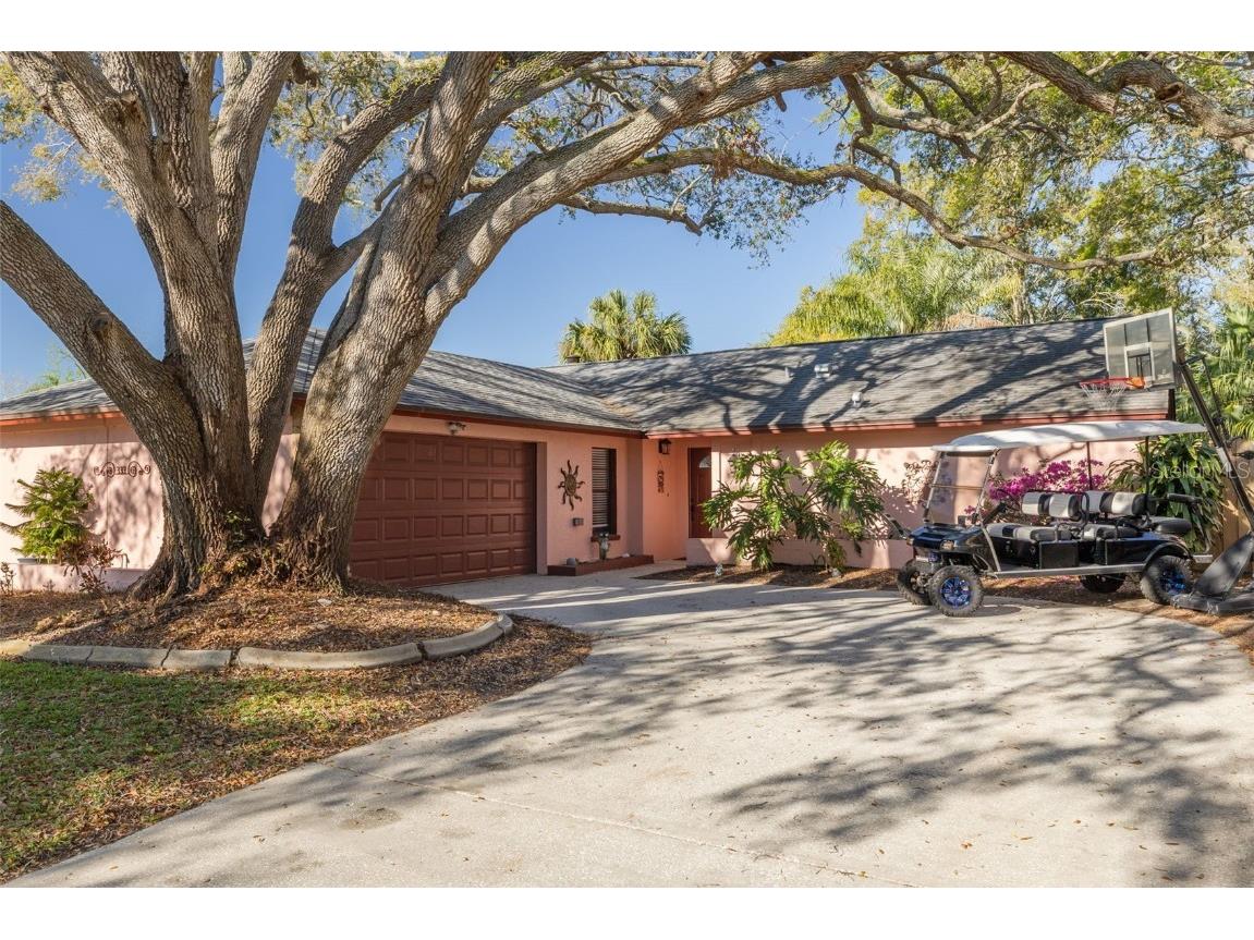 333 Arbor Drive E Palm Harbor FL 34683 TB8359955 image1
