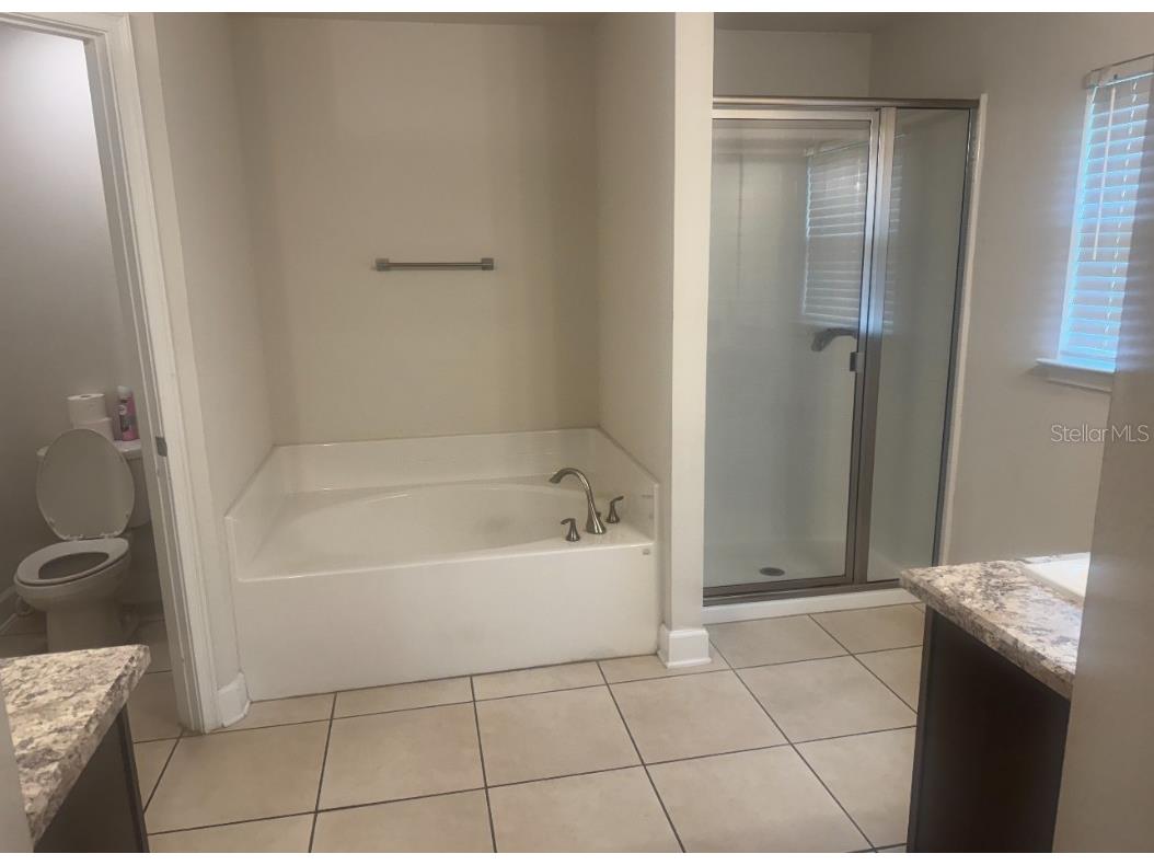 333 Ashton Woods Lane Leesburg FL 34748 O6342362 image9