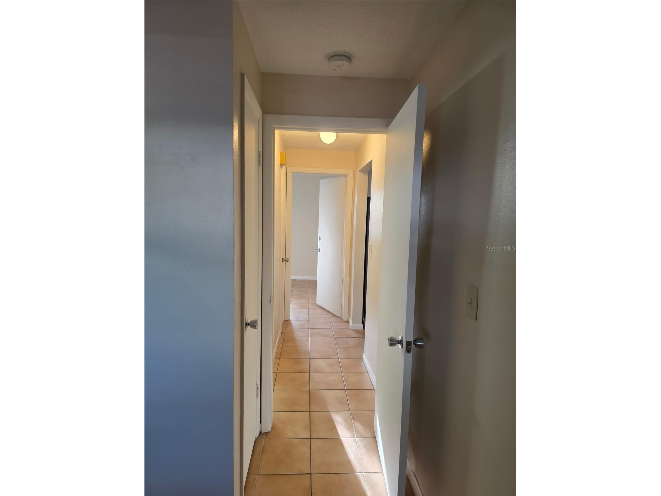 333 Lagoon Drive #5 Palm Harbor FL 34683 TB8487779 image10
