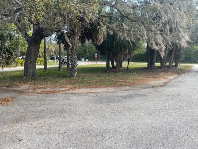 333 Lagoon Drive #5 Palm Harbor FL 34683 TB8487779 image13