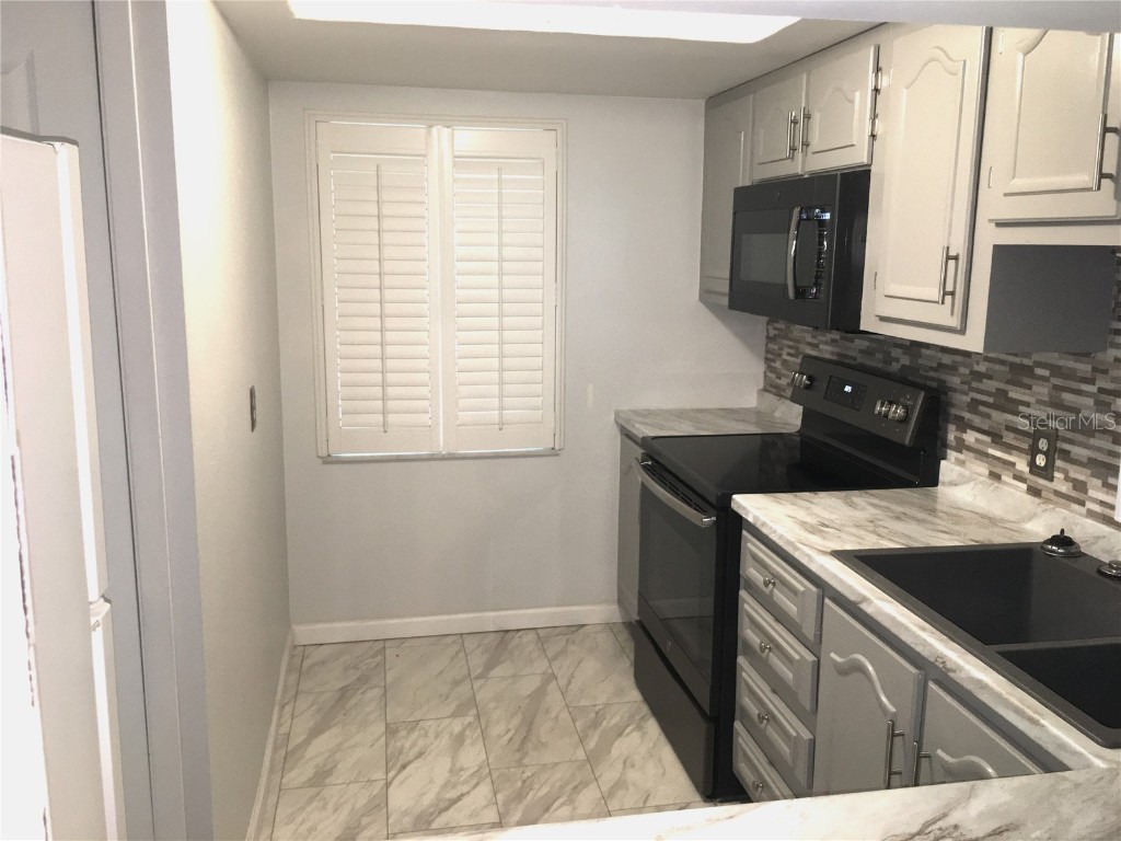 333 Lake Howard Drive NW #204C Winter Haven FL 33880 U8249519 image4