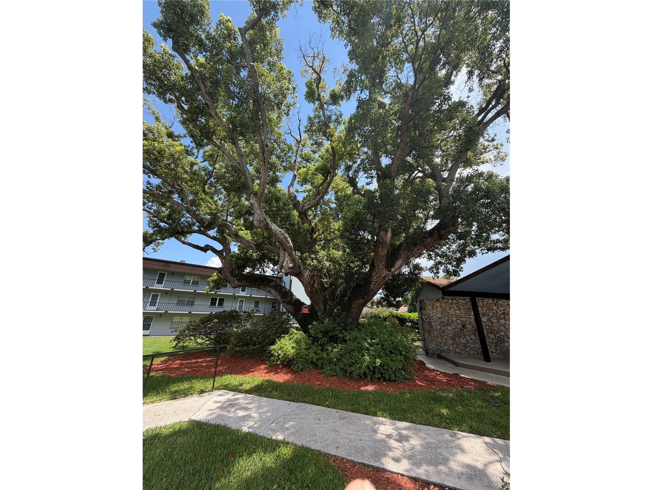 333 Lake Howard Drive NW #211B Winter Haven FL 33880 L4963297 image24