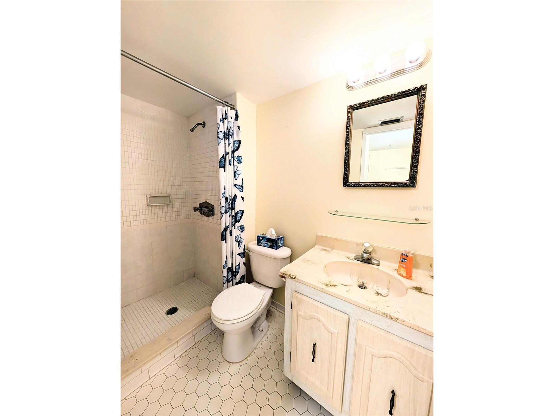333 Lake Howard Drive NW #212A Winter Haven FL 33880 - LAKE HOWARD S5147514 image27