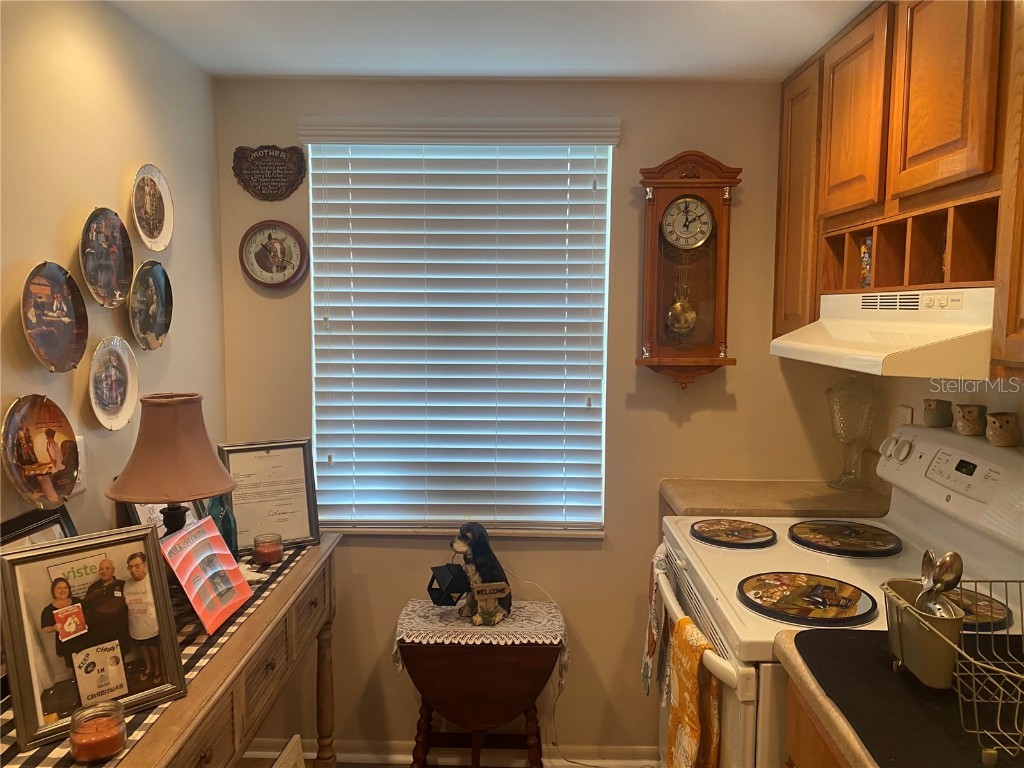 333 Lake Howard Drive NW #213D Winter Haven FL 33880 - LAKE HOWARD P4936310 image2