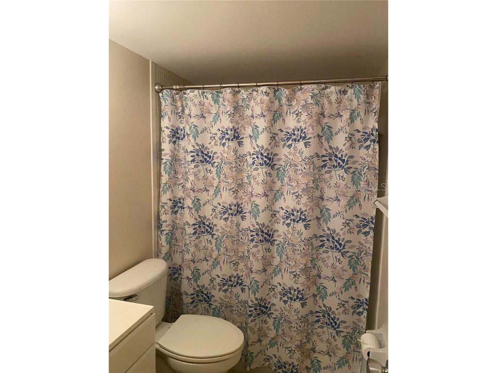 333 Lake Howard Drive NW #213D Winter Haven FL 33880 - LAKE HOWARD P4936310 image21