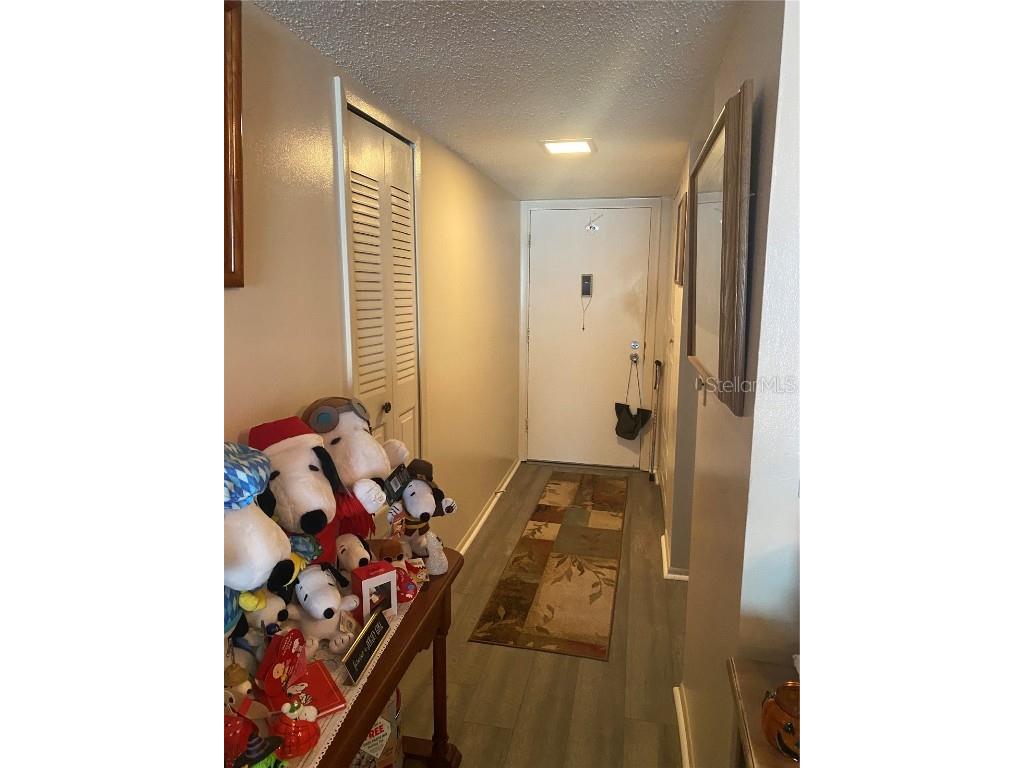 333 Lake Howard Drive NW #213D Winter Haven FL 33880 - LAKE HOWARD P4936310 image7