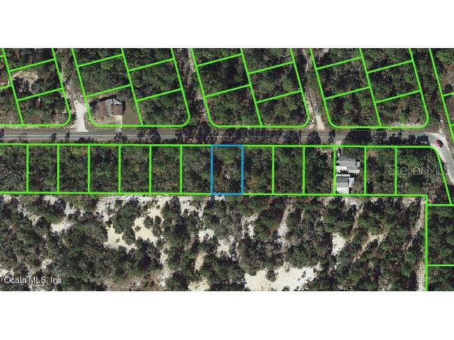 333 Moon Glow Avenue Lake Placid FL 33852 OM542065 image1