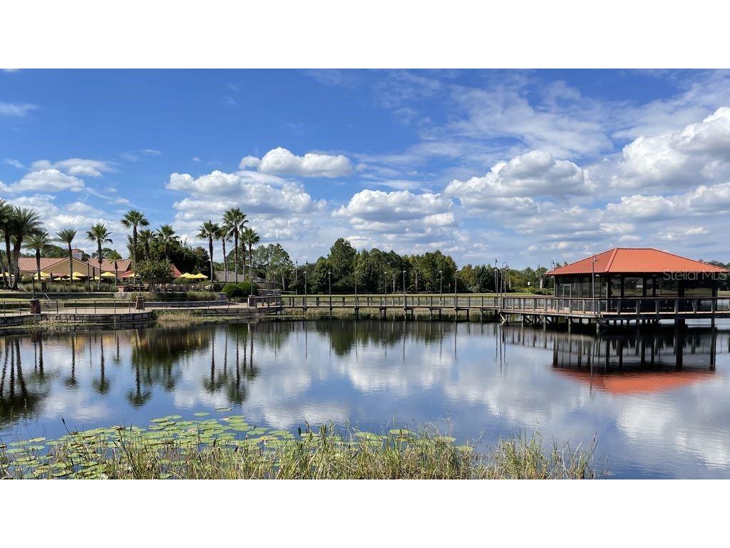 333 Navarra Lane Davenport FL 33837 O6388160 image47