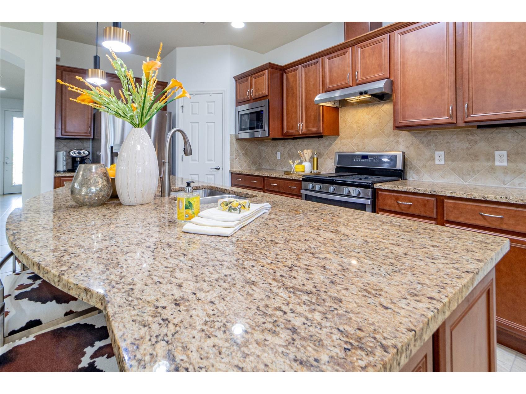 333 Navarra Lane Davenport FL 33837 O6388160 image6