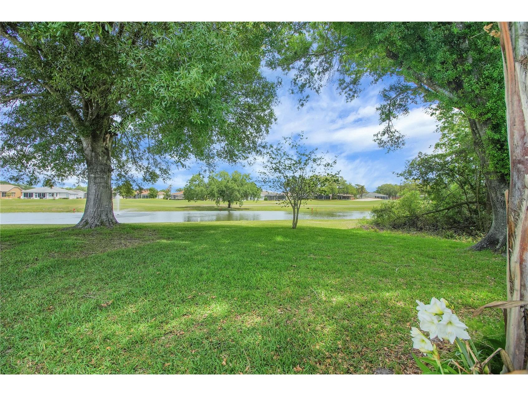 333 Ranchwood Drive Leesburg FL 34748 G5110691 image3