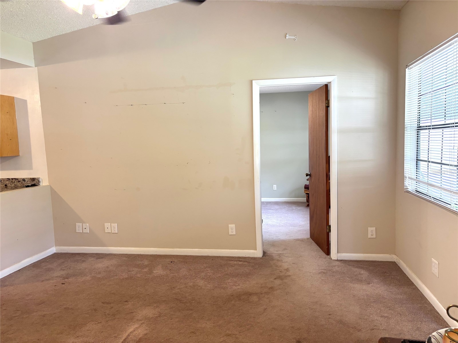 333 Riviera Drive Crescent City FL 32112 V4948854 image8