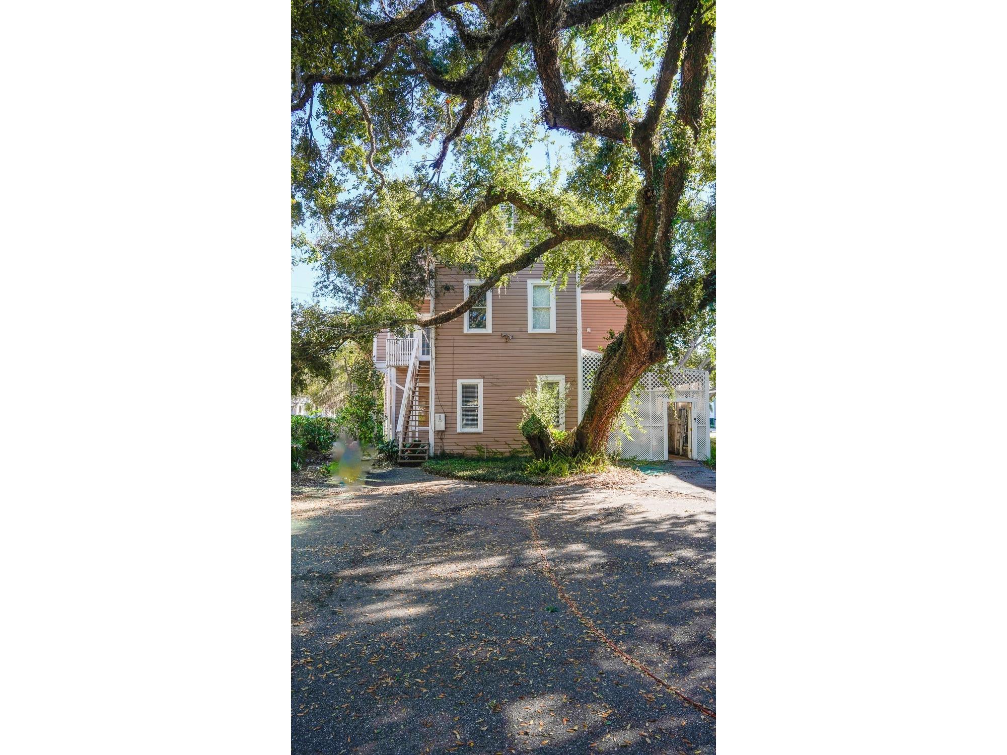 333 S Plant Avenue Tampa FL 33606 TB8466133 image13