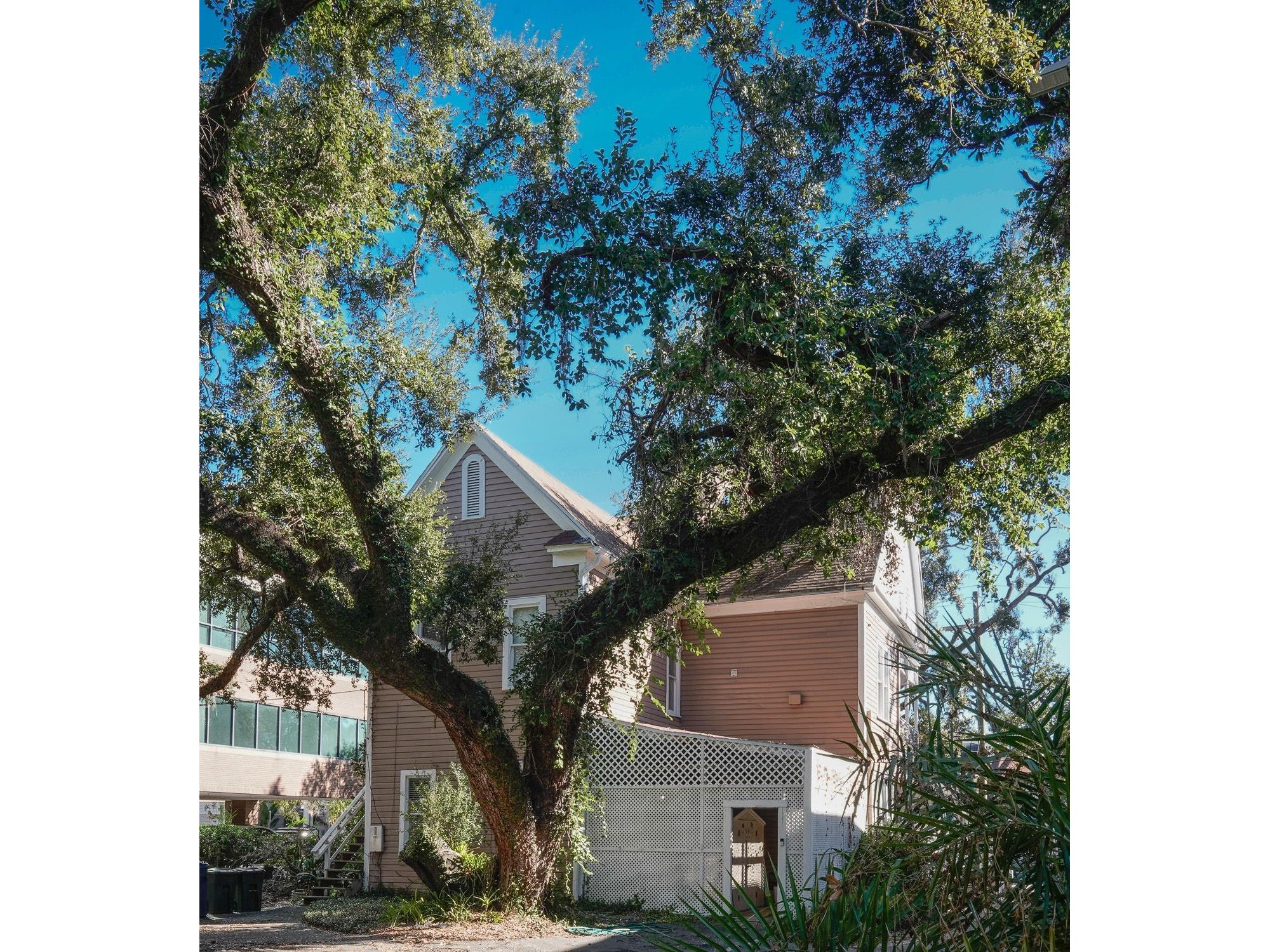 333 S Plant Avenue Tampa FL 33606 TB8466133 image14