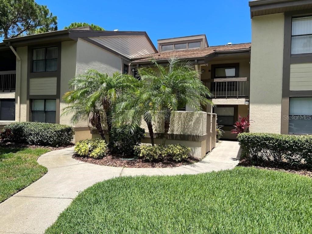 333 Woodlake Wynde Oldsmar FL 34677 T3537018 image1