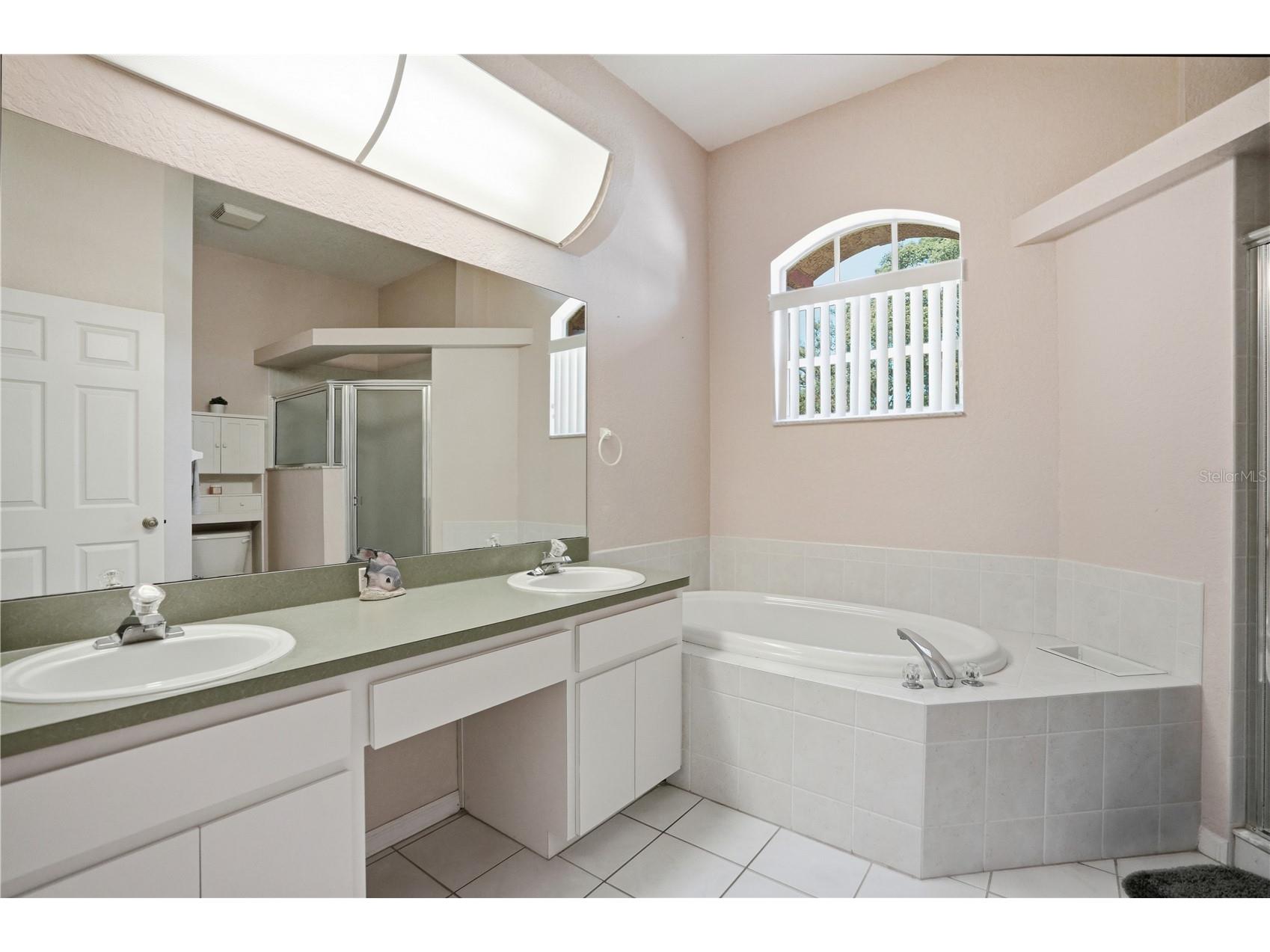3330 Carmen Avenue Spring Hill FL 34609 TB8514653 image28