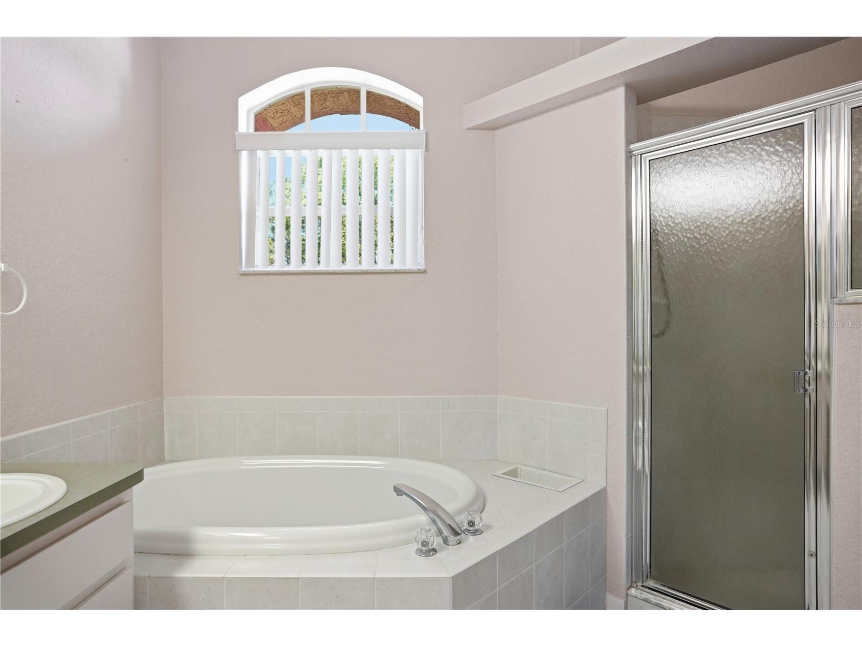 3330 Carmen Avenue Spring Hill FL 34609 TB8514653 image30