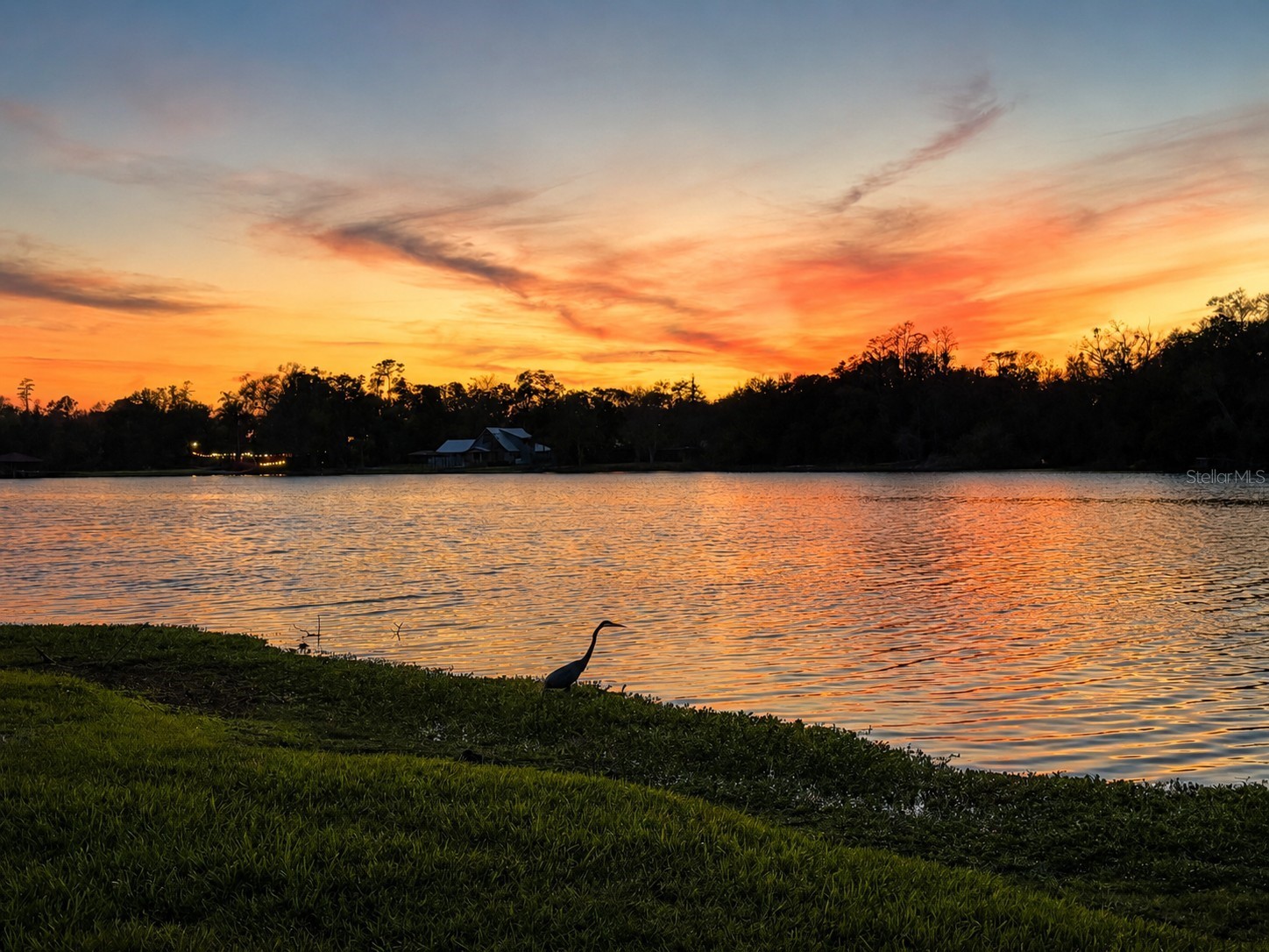 3330 Ehrlich Road Tampa FL 33618 - Bay Lake TB8513000 image2
