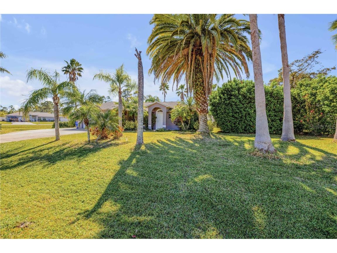 3330 Queen Palm Drive Edgewater FL 32141 NS1084228 image1