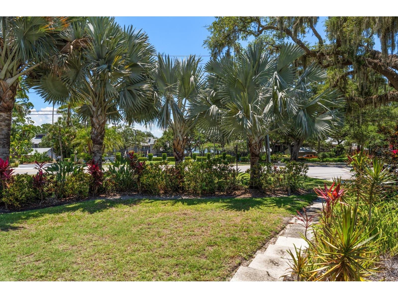 3330 San Domingo Street Clearwater FL 33759 TB8511882 image29