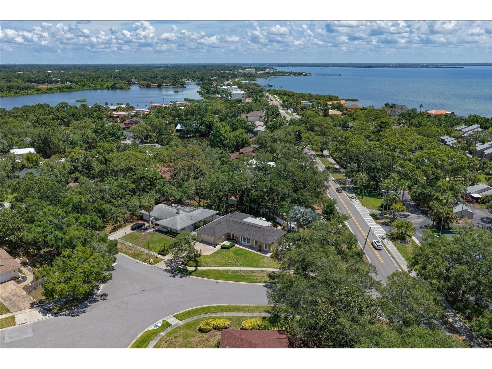 3330 San Domingo Street Clearwater FL 33759 TB8511882 image40