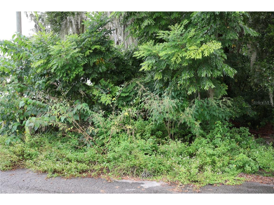 3330 SE 11th Avenue Ocala FL 34471 C7515910 image1