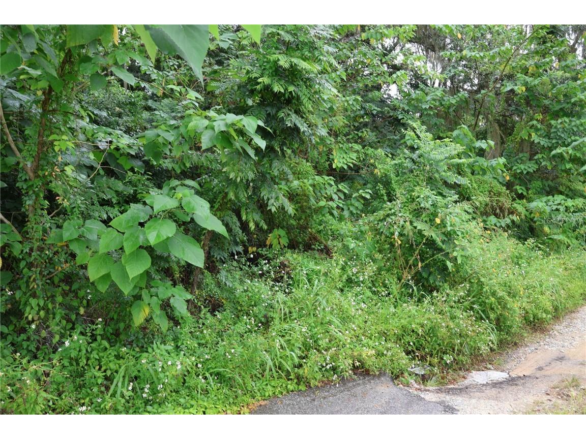 3330 SE 11th Avenue Ocala FL 34471 C7515910 image3