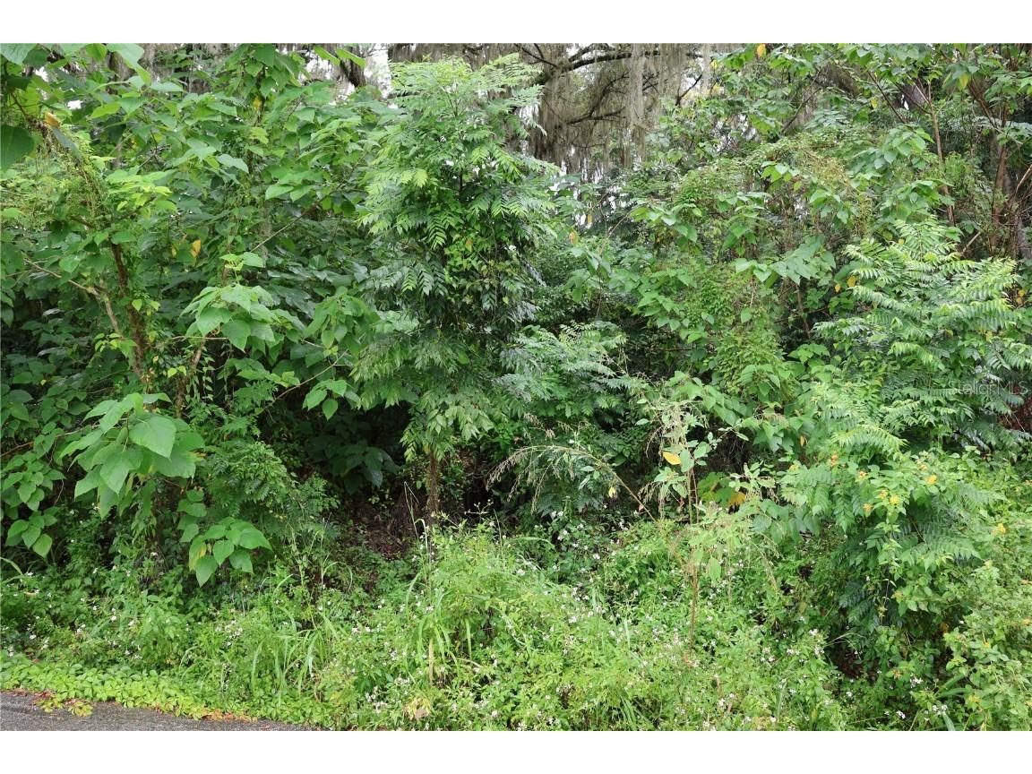 3330 SE 11th Avenue Ocala FL 34471 C7515910 image5