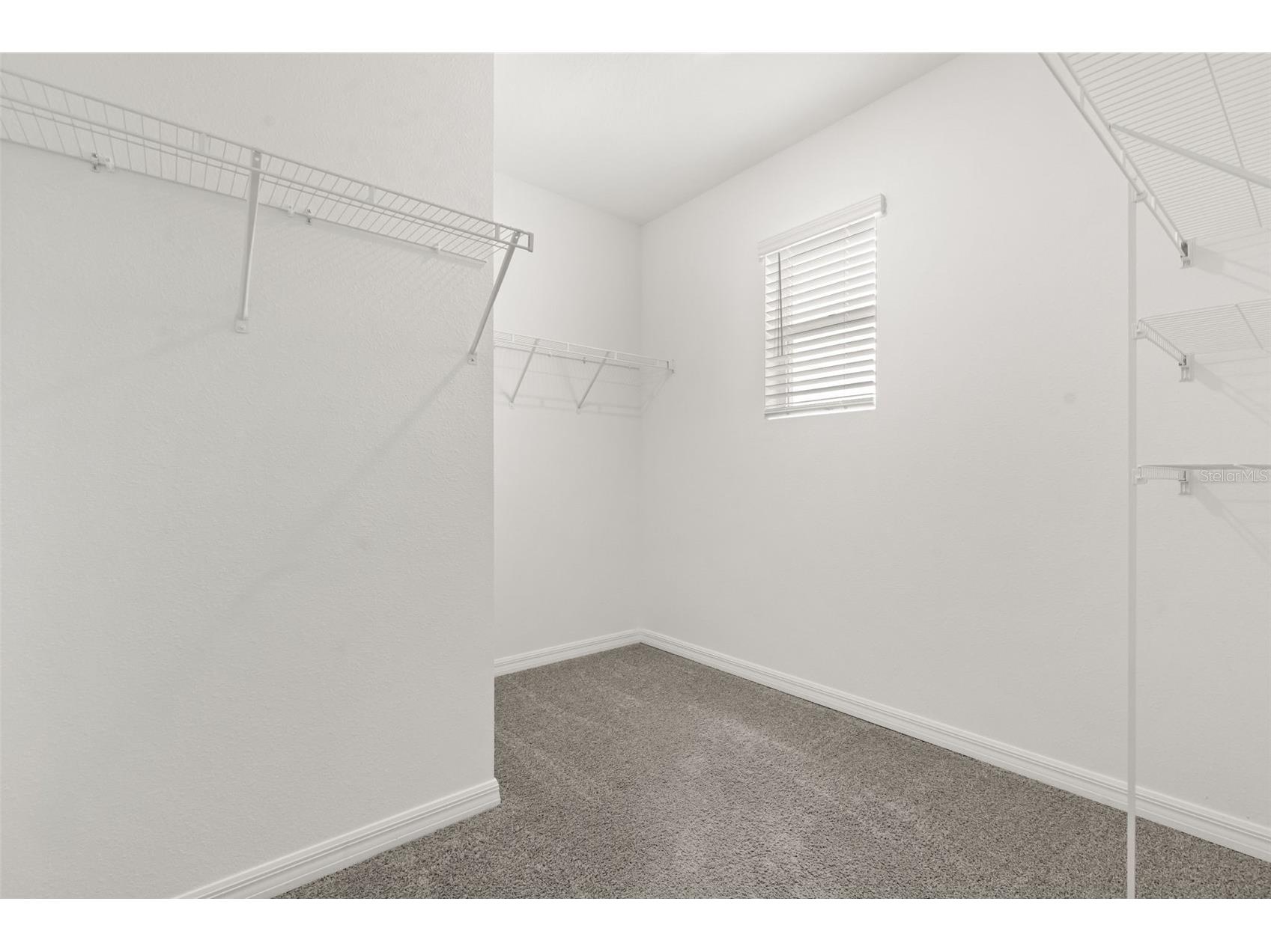 33301 Darley Dale Trail Wesley Chapel FL 33545 O6413045 image19