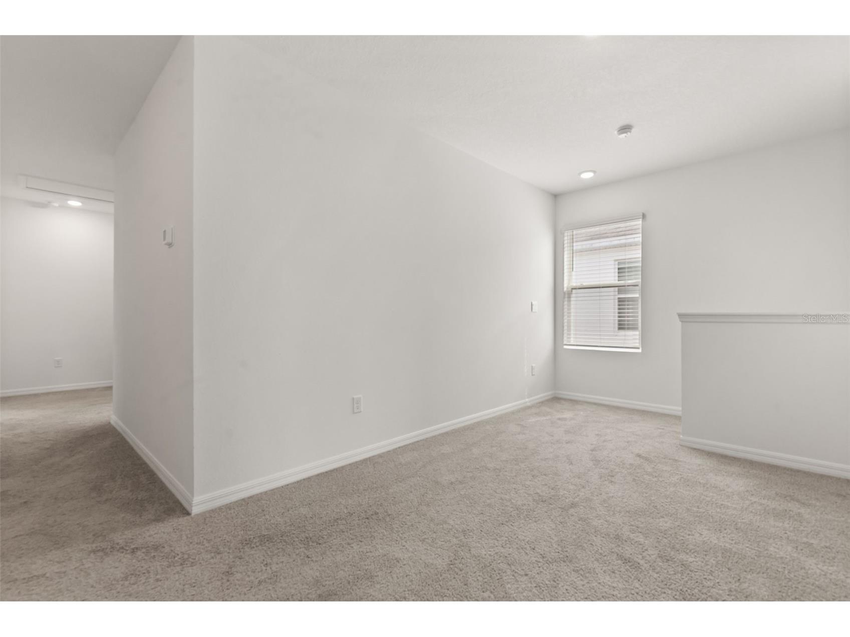 33301 Darley Dale Trail Wesley Chapel FL 33545 O6413045 image22