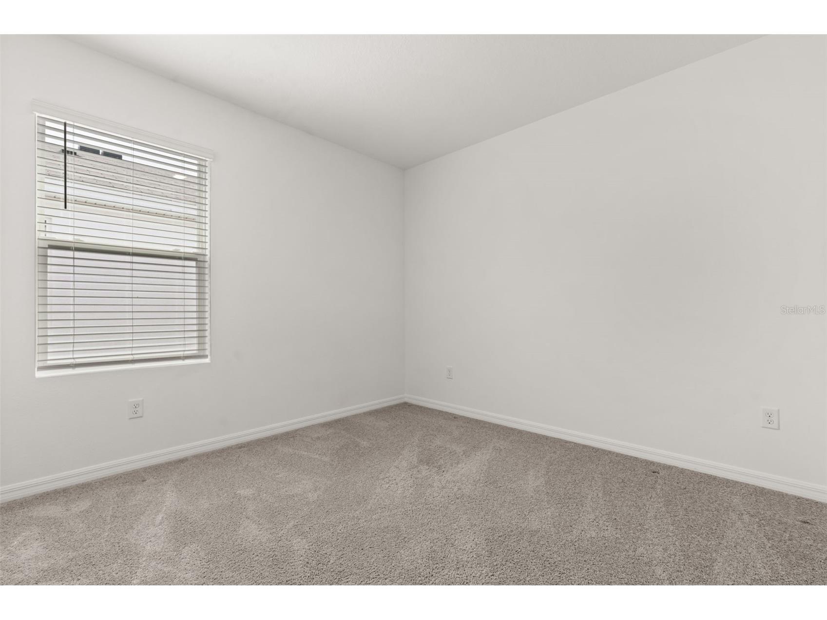 33301 Darley Dale Trail Wesley Chapel FL 33545 O6413045 image24