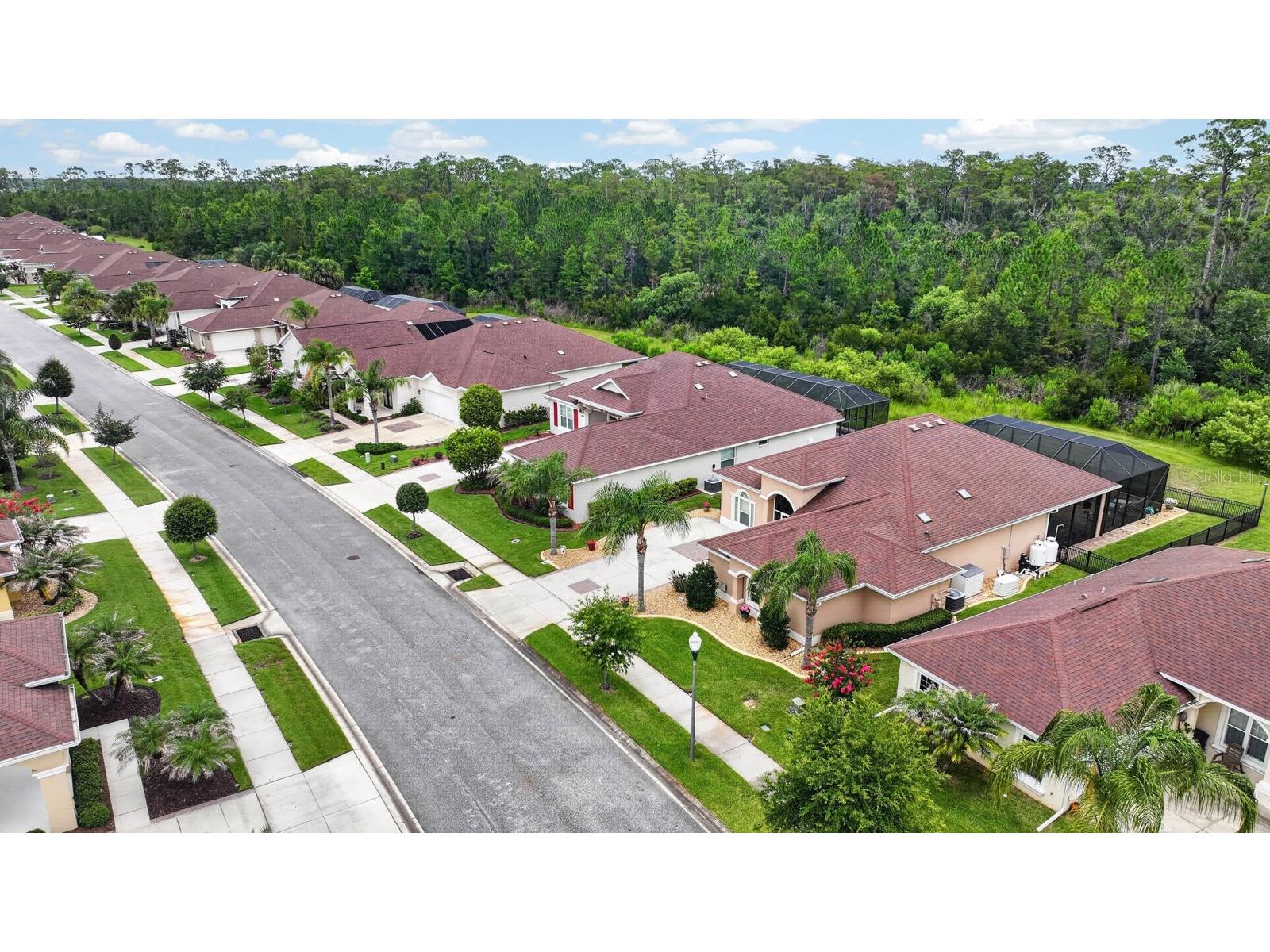 3331 Bellino Boulevard New Smyrna Beach FL 32168 NS1088462 image51