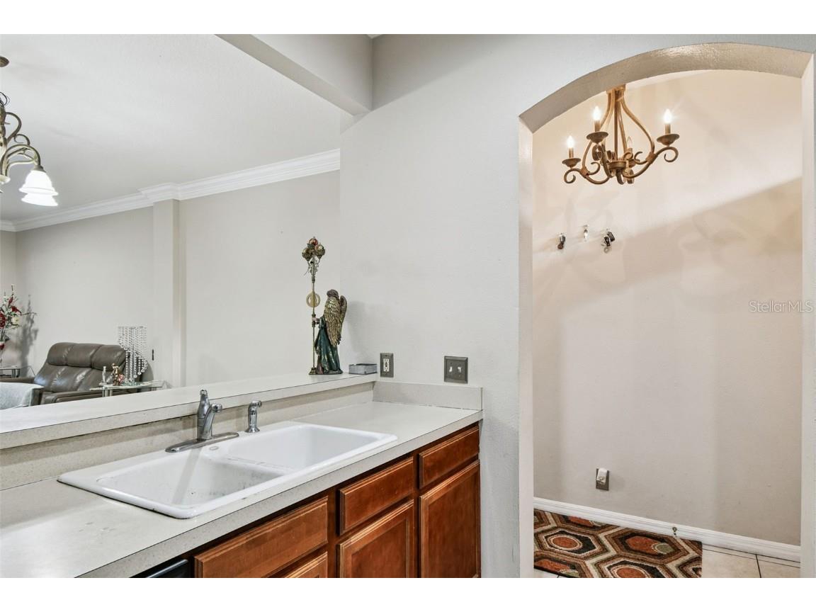 3331 Covered Bridge Drive E Dunedin FL 34698 TB8448537 image14