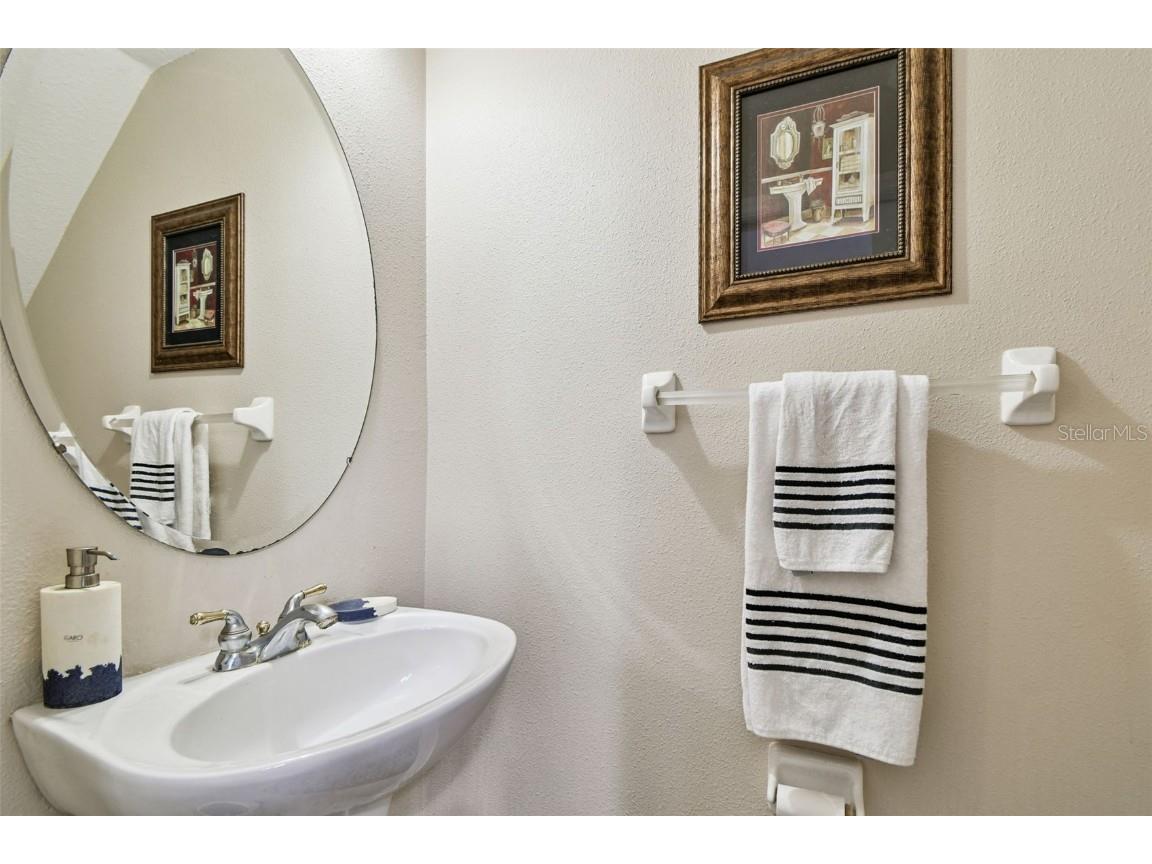 3331 Covered Bridge Drive E Dunedin FL 34698 TB8448537 image22