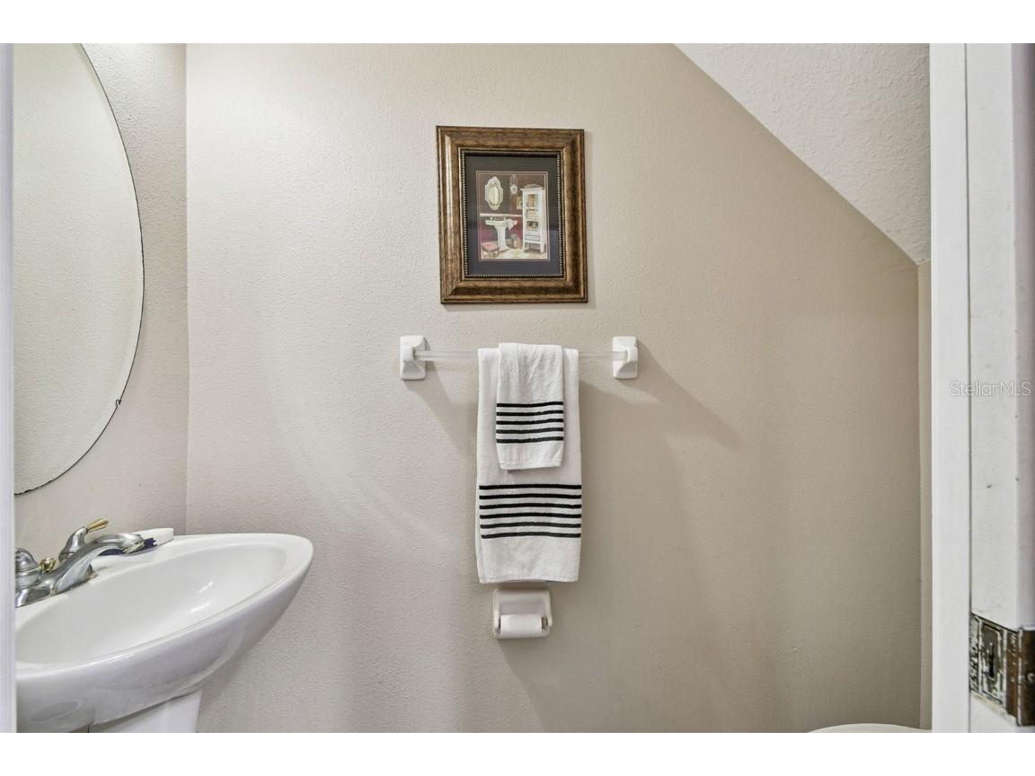 3331 Covered Bridge Drive E Dunedin FL 34698 TB8448537 image23