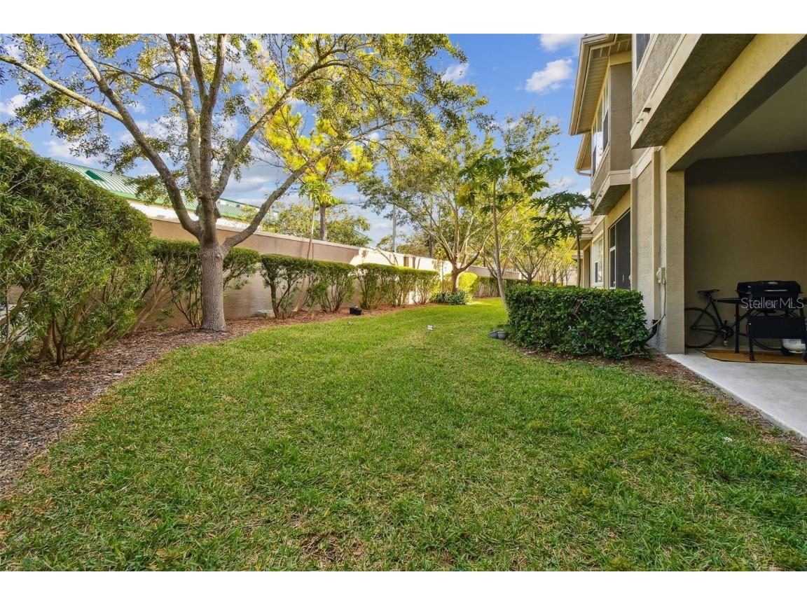 3331 Covered Bridge Drive E Dunedin FL 34698 TB8448537 image52