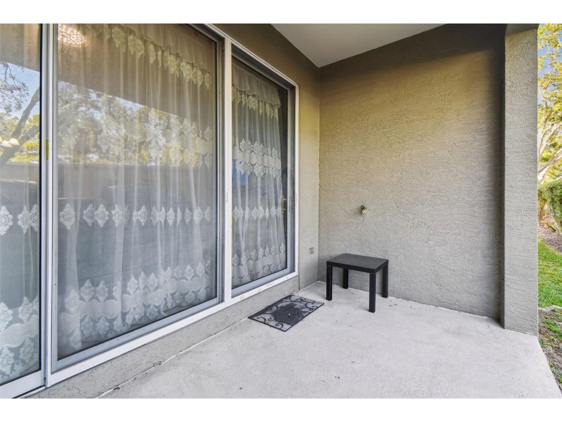 3331 Covered Bridge Drive E Dunedin FL 34698 TB8448537 image57