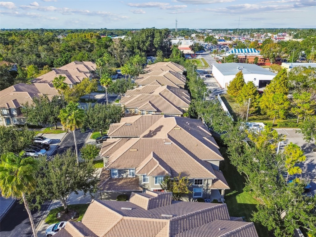 3331 Covered Bridge Drive E Dunedin FL 34698 TB8448537 image66