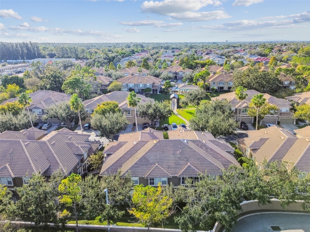 3331 Covered Bridge Drive E Dunedin FL 34698 TB8448537 image68