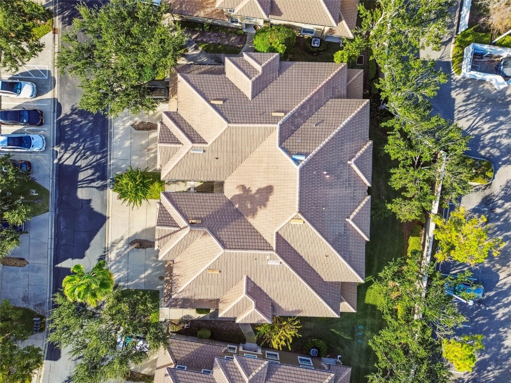 3331 Covered Bridge Drive E Dunedin FL 34698 TB8448537 image71