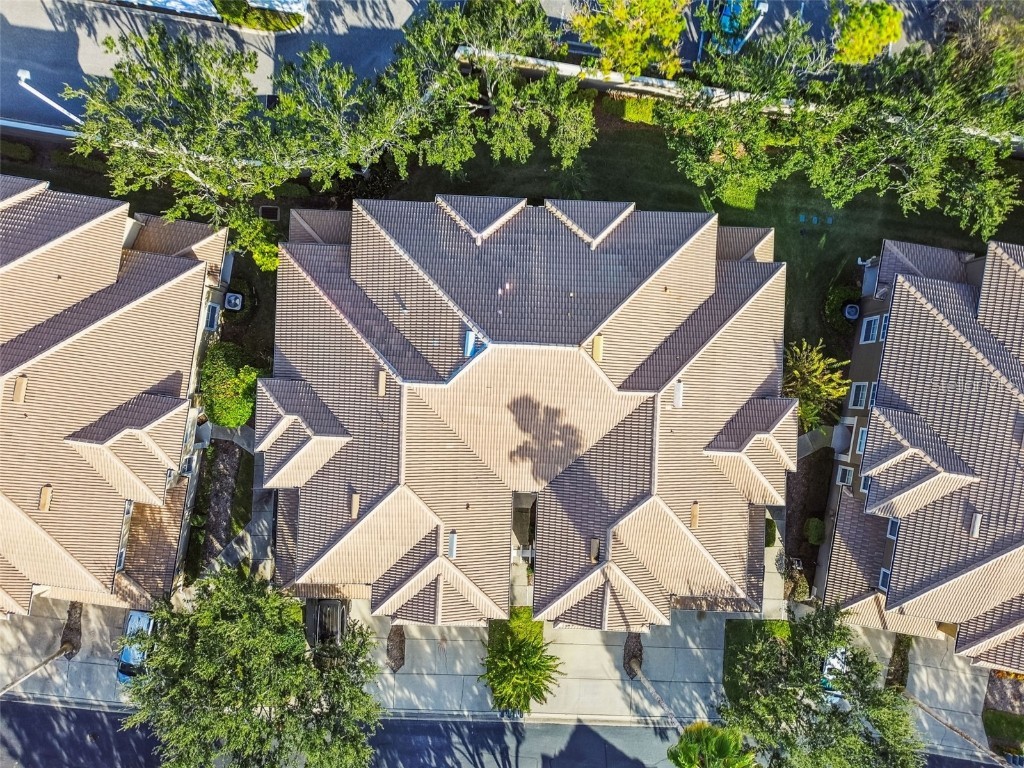 3331 Covered Bridge Drive E Dunedin FL 34698 TB8448537 image72