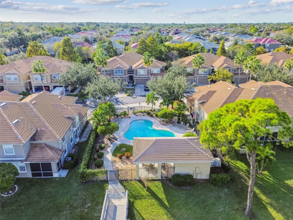 3331 Covered Bridge Drive E Dunedin FL 34698 TB8448537 image74