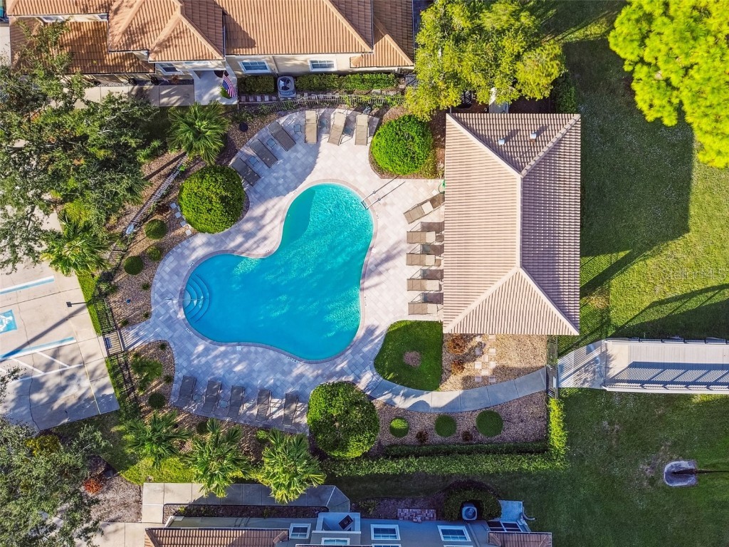 3331 Covered Bridge Drive E Dunedin FL 34698 TB8448537 image76