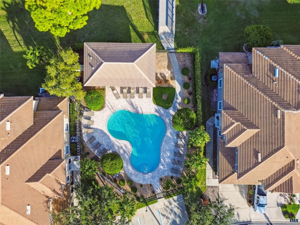 3331 Covered Bridge Drive E Dunedin FL 34698 TB8448537 image77